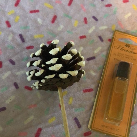 Christmas Set: 4 coasters, pinecone decor, oil - Picture 3 of 5